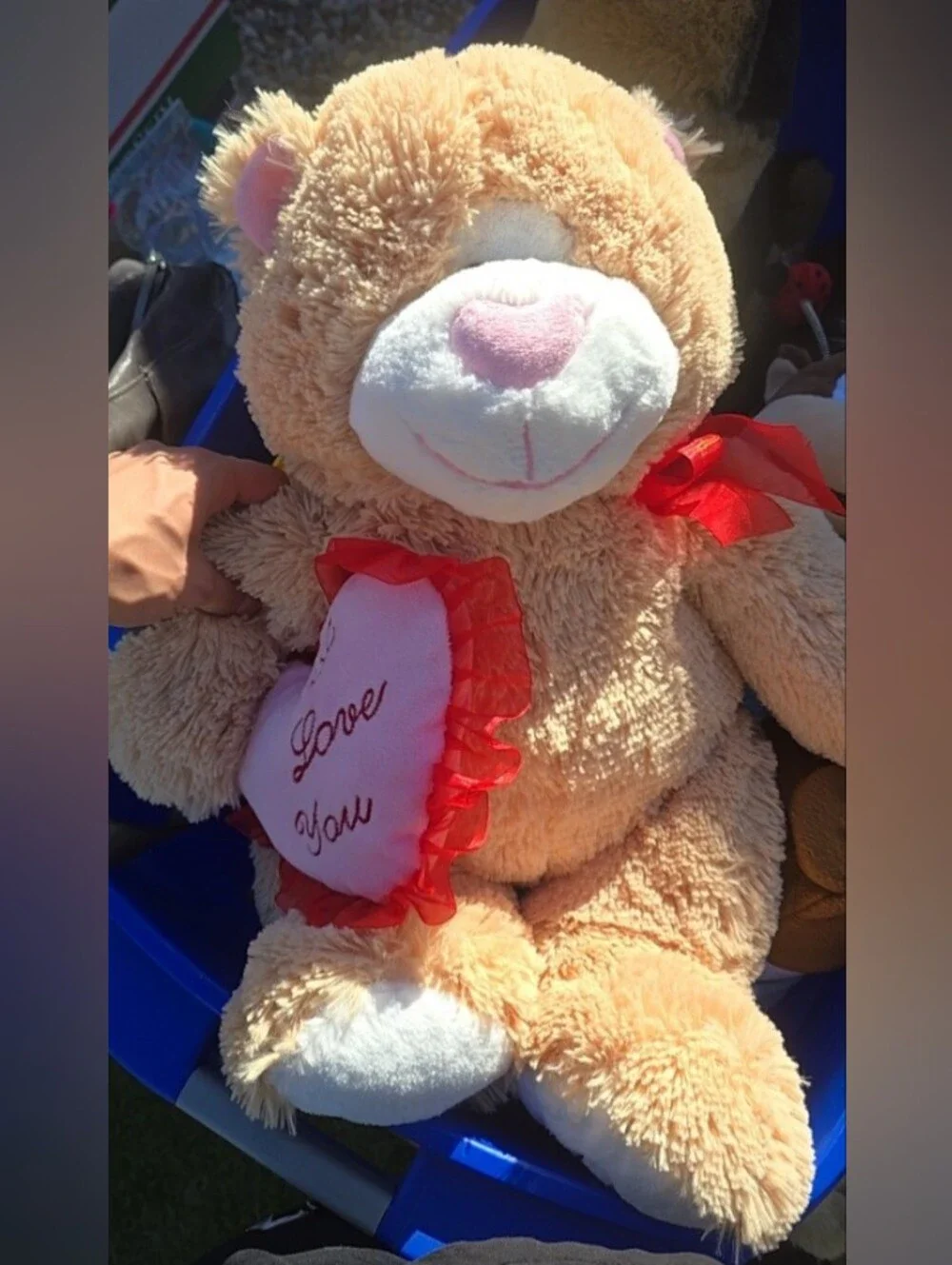 Goffa Valentine's Teddy Bear Plush Toy